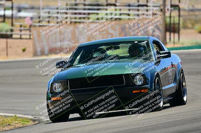 media/May-11-2025-Cobra Club (Sun) [[44ca44ec33]]/Passenger/